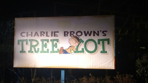 Theme Park «Action Zone», reviews and photos, 6300 Kings Island Drive, Kings Mills, OH 45034, USA