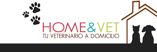 Imagen de HOMEVET Veterinario a Domicilio Valencia (4 de 4)