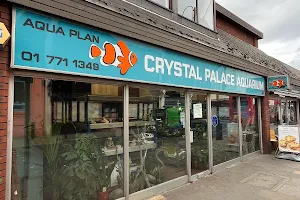 Crystal Palace Reptiles image