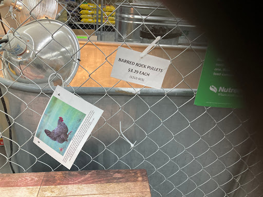 Home Improvement Store «Tractor Supply Co.», reviews and photos, 4605 I-27, Lubbock, TX 79404, USA