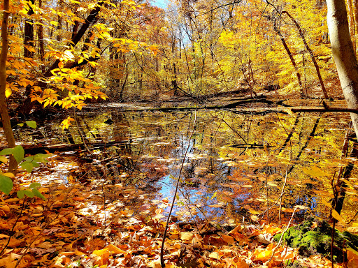 Nature Preserve «Cranberry Lake Preserve», reviews and photos, 1609 Old Orchard St, West Harrison, NY 10604, USA