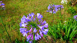 Photo n°19 de Dolmen de Mané-Rethual à Locmariaquer ()