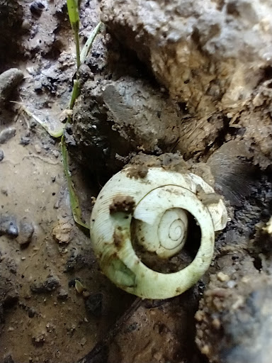 Golf Course «California Golf Course», reviews and photos, 5924 Kellogg Ave, Cincinnati, OH 45228, USA