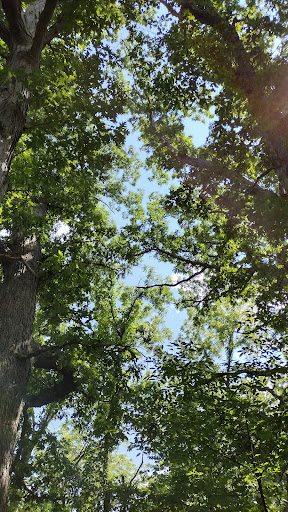 Bird Watching Area «Coffee Creek Watershed Preserve», reviews and photos, 2401 Village Point, Chesterton, IN 46304, USA