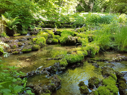 Kalksinterterrassen Kaisinger Tal