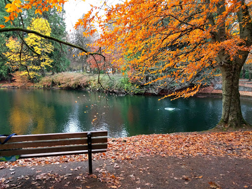 Park «Laurelhurst Park», reviews and photos, SE Cesar E Chavez Blvd & Stark St, Portland, OR 97214, USA