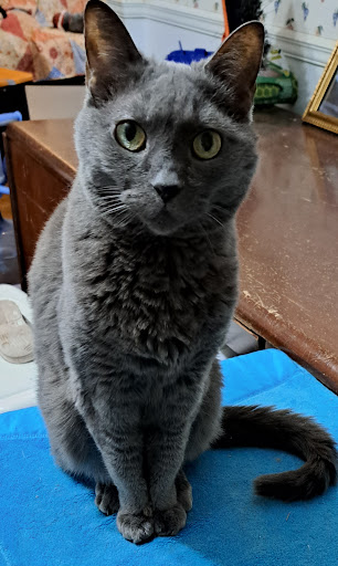 Possum Trot Veterinary Clinic image