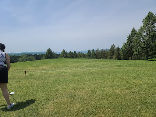 Golf Course «Pinecroft Golf Course», reviews and photos, 8260 Henry Rd, Benzonia, MI 49616, USA