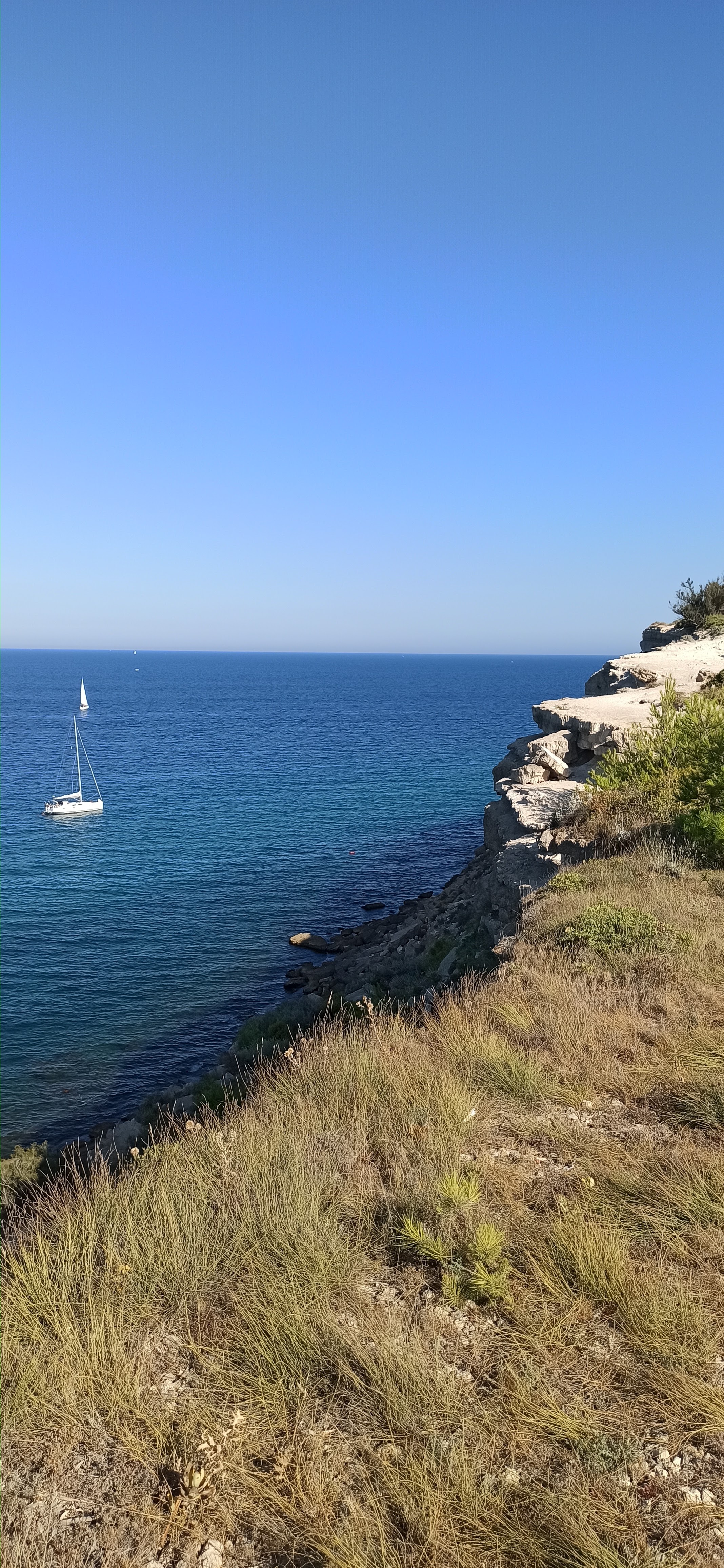 Photo n° 1 de l'avis de Marc.a fait le 01/09/2022 à 17:41