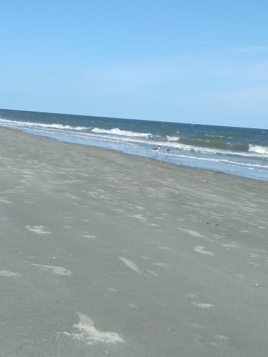 Tourist Attraction «Lighthouse Trolleys», reviews and photos, 559 Magnolia Ave, Saint Simons Island, GA 31522, USA