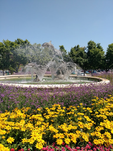 Shopping Mall «Northview Shopping Center», reviews and photos, 5078 W 92nd Ave, Westminster, CO 80031, USA