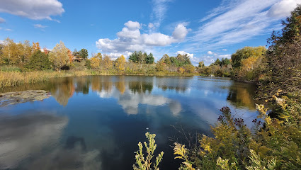 Stormwater Pond on Oak Ridges Corridor Conservation Reserve