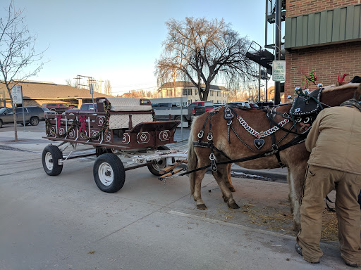 Department Store «JCPenney», reviews and photos, 403 Main St, Williston, ND 58801, USA