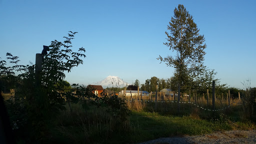 Winery «Rainier View Winery and Nursery», reviews and photos, 12314 264th St E, Graham, WA 98338, USA