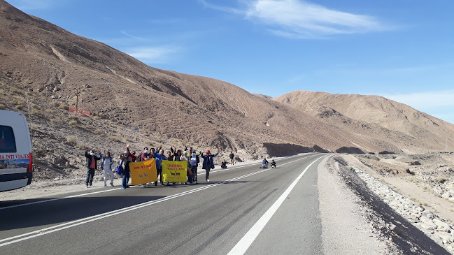 Opiniones de Suma Inti Viajes Tour Arica Lago Chungara en Arica - Agencia de viajes