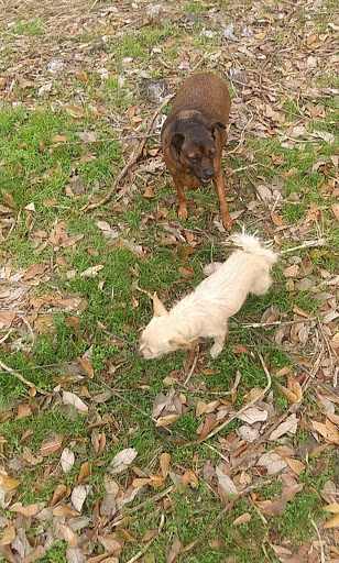 Veterinarian «Mabank Animal Hospital Inc», reviews and photos