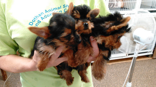 Pet Store «Wet Pets», reviews and photos, 1712 Montgomery Hwy, Dothan, AL 36303, USA