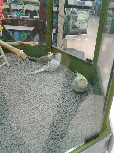 Pet Supply Store «Petco Animal Supplies», reviews and photos, 244 Pioneer Trail, Chaska, MN 55318, USA