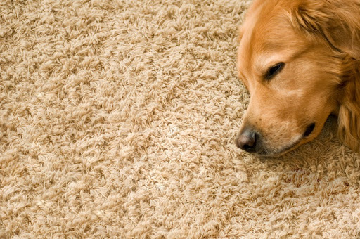 Discount Carpets - Santa Rosa Flooring Store