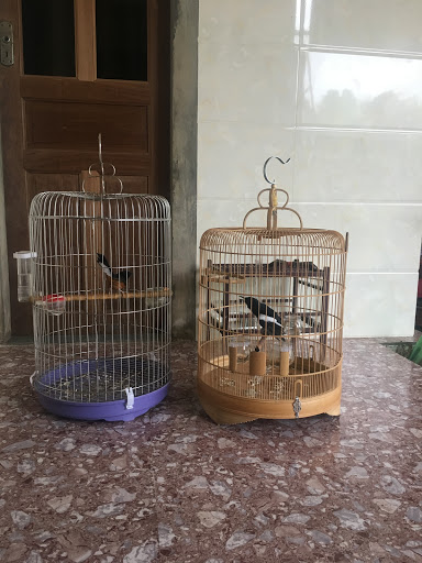 Top 20 chuỗi cửa hàng kepal Quận Hà Đông Hà Nội 2022