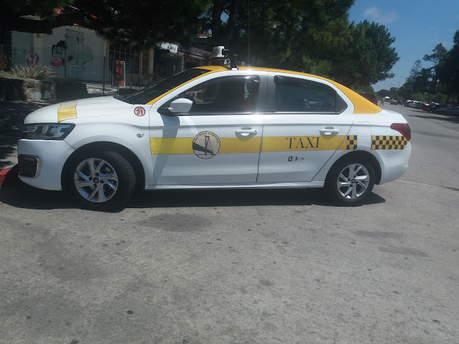 Opiniones de Taxi Radio Carrasco en Cardona - Servicio de taxis