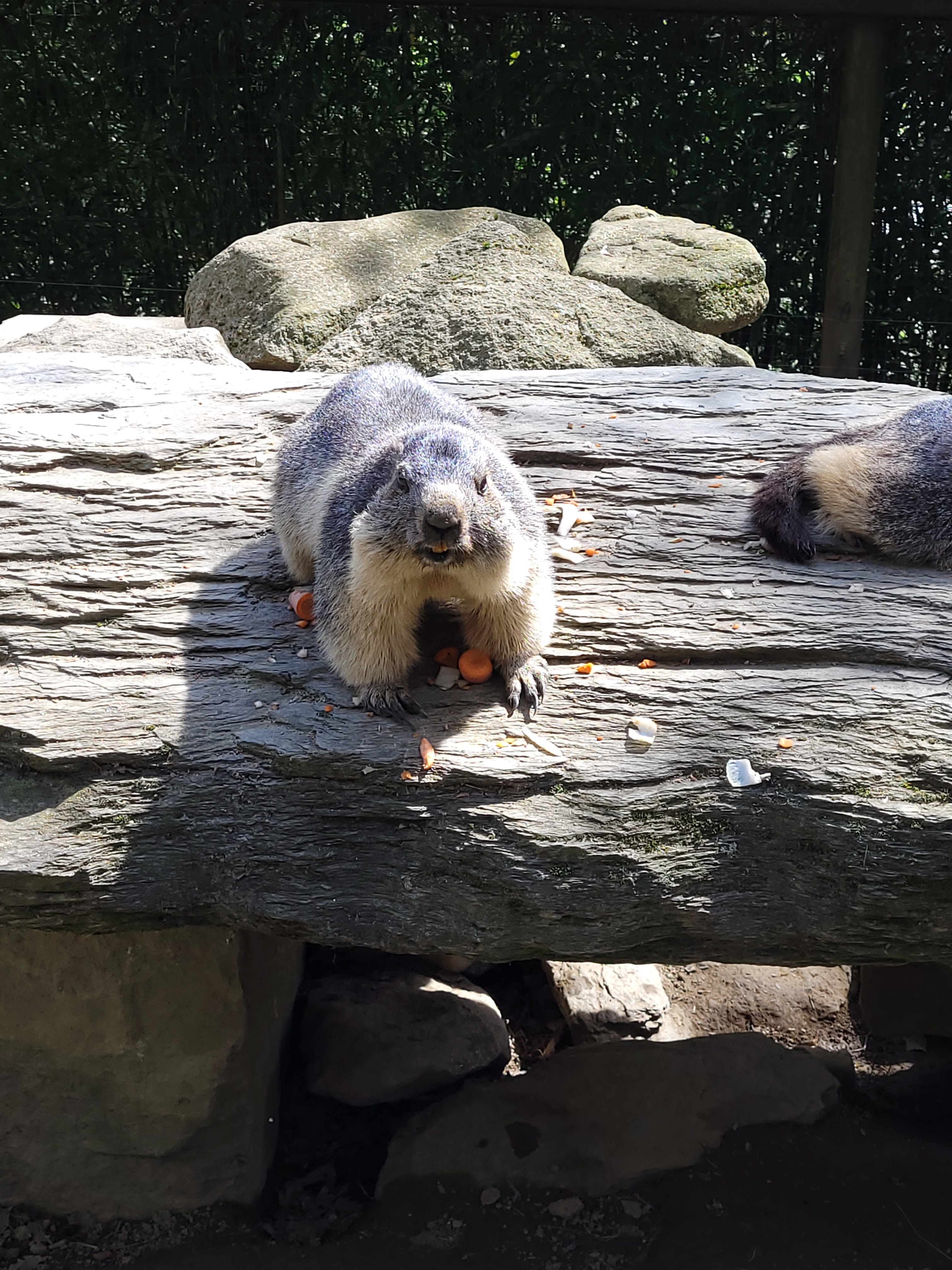 Photo n° 3 de l'avis de krystalita.t fait le 06/05/2023 à 15:24