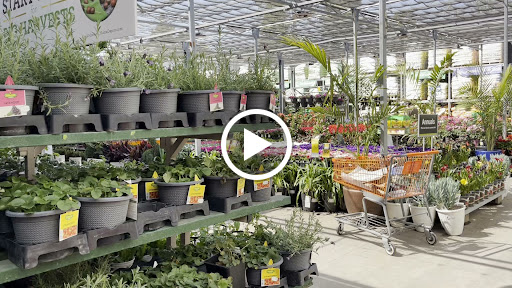 Home Improvement Store «The Home Depot», reviews and photos, 10801 Garden Grove Blvd, Garden Grove, CA 92843, USA