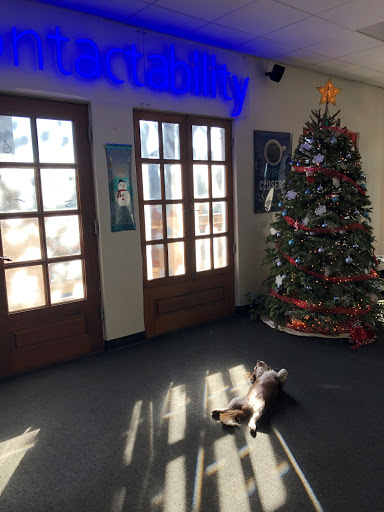 Internet Marketing Service «Contactability», reviews and photos