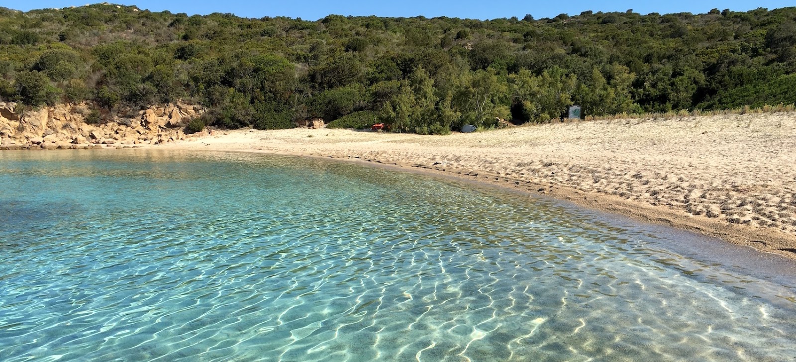 Foto di Cala di Conca con molto pulita livello di pulizia