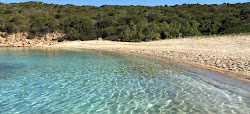 Foto di Cala di Conca con molto pulita livello di pulizia