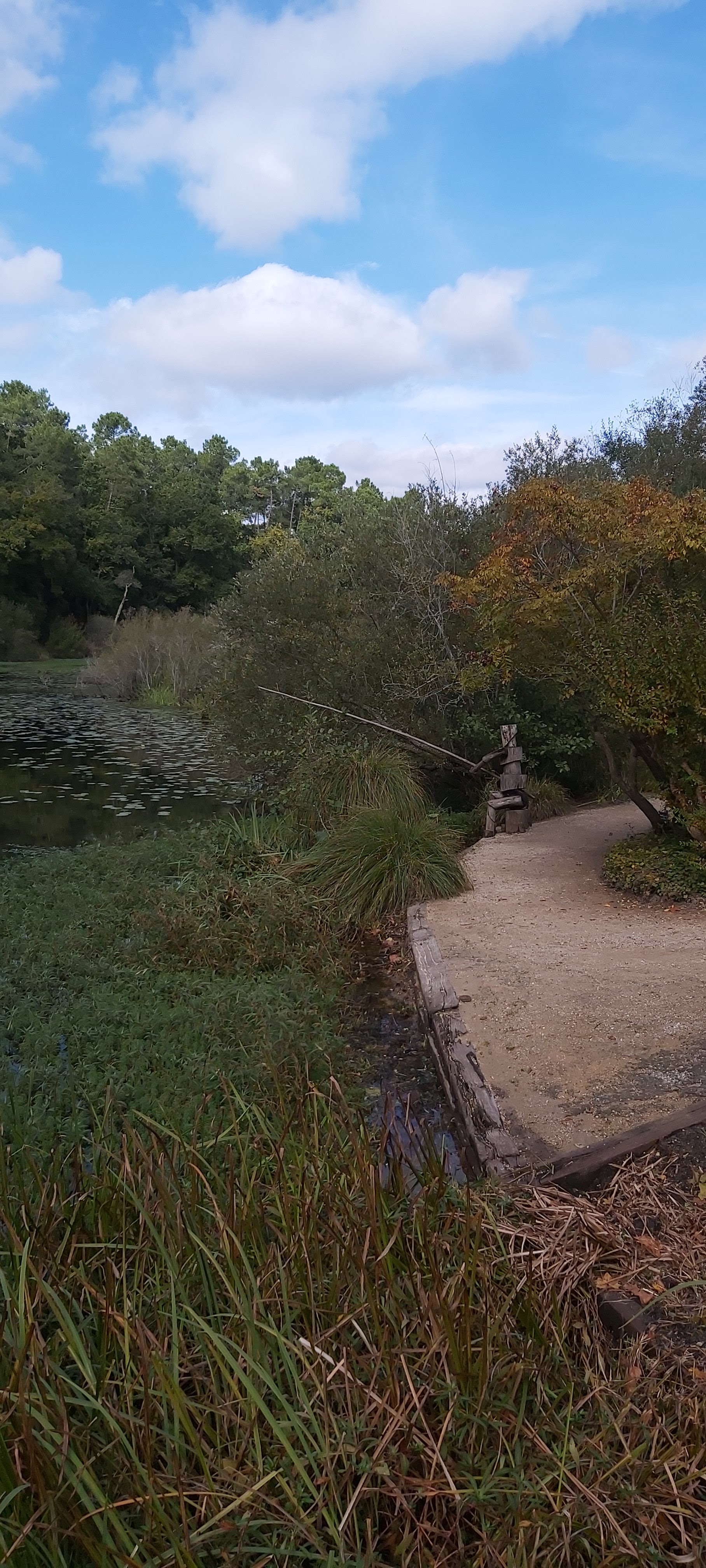 Photo n° 27 de l'avis de Laetitia.. fait le 10/10/2020 à 16:16