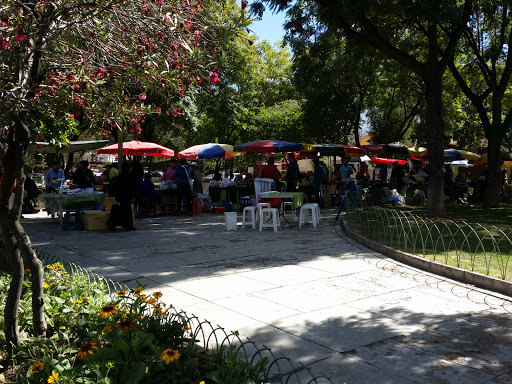 Feria Zonal Productos Organicos