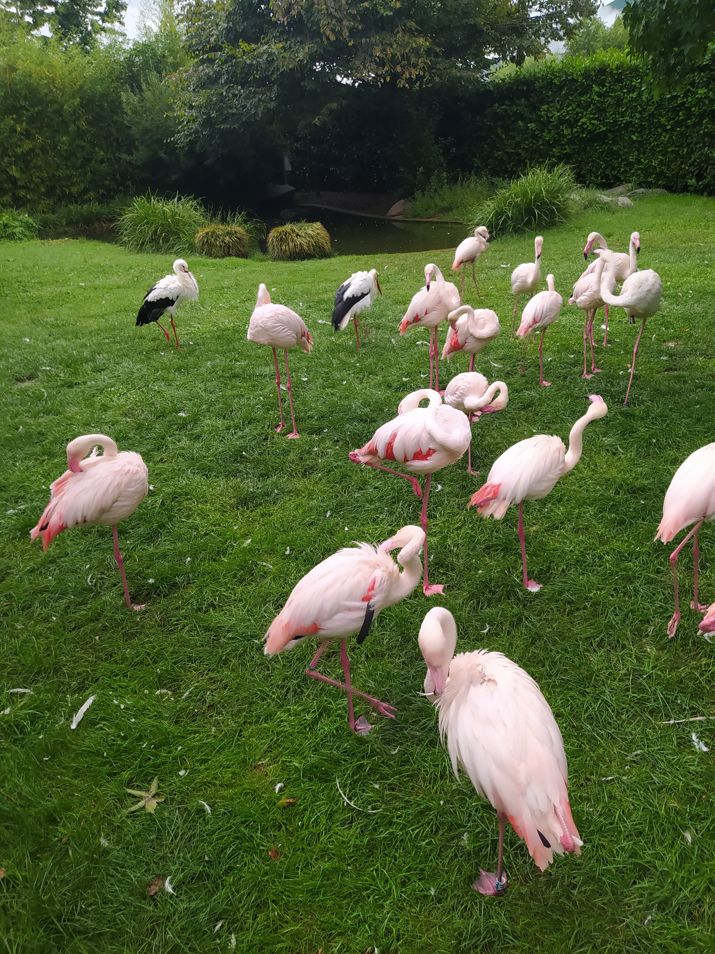 Photo n° 10 de l'avis de Raphael.. fait le 27/08/2023 à 16:43