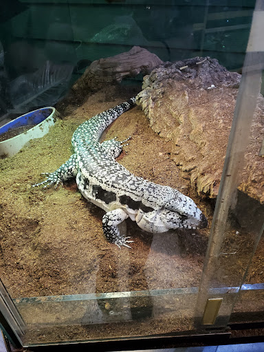 Pet Store «Zookeeper Exotics», reviews and photos, 9012 Research Blvd, Austin, TX 78758, USA