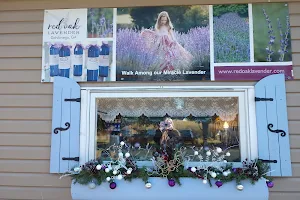 Red Oak Lavender Farm & Shop image