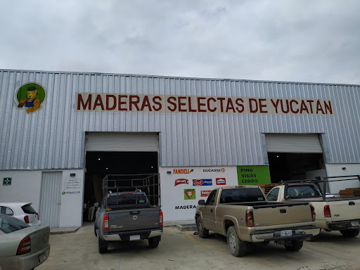 Maderas selectas de Yucatan