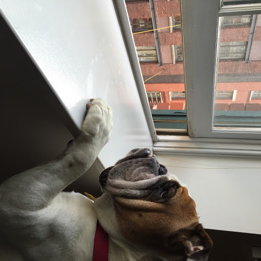 Law Firm «Gershburg Law, P.C: Daniel Gershburg», reviews and photos