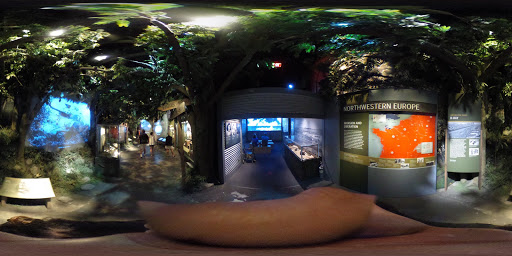 History Museum «The National WWII Museum», reviews and photos, 945 Magazine St, New Orleans, LA 70130, USA