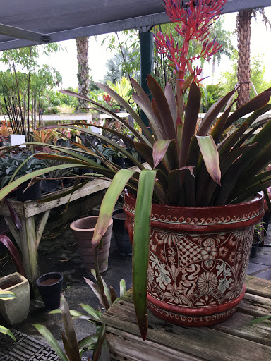 Produce Market «Nelson Family Farms», reviews and photos, 875 W Midway Rd, Fort Pierce, FL 34982, USA