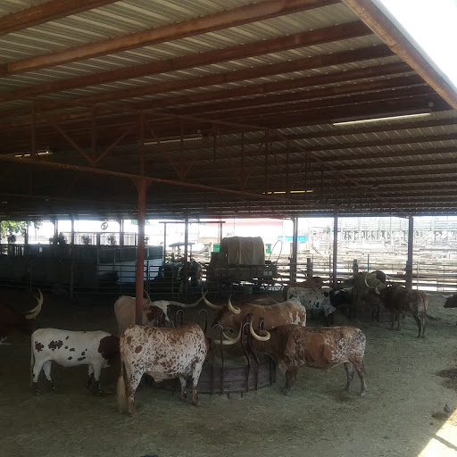 Tourist Attraction «Stockyards Championship Rodeo», reviews and photos, 121 E Exchange Ave, Fort Worth, TX 76164, USA