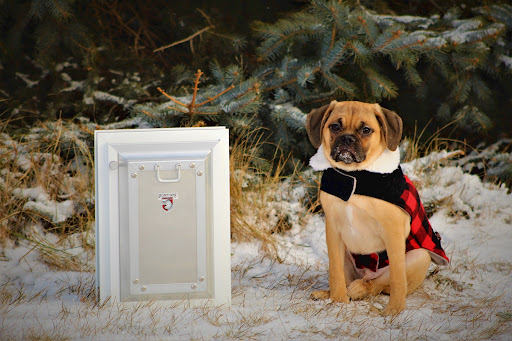 Pet Supply Store «Moore Pet Supplies», reviews and photos, 3170 Airport Dr, La Crosse, WI 54603, USA