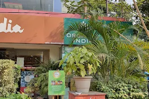 Organic India Store - Manoj Pandey Chowk, Gomti Nagar, Lucknow image