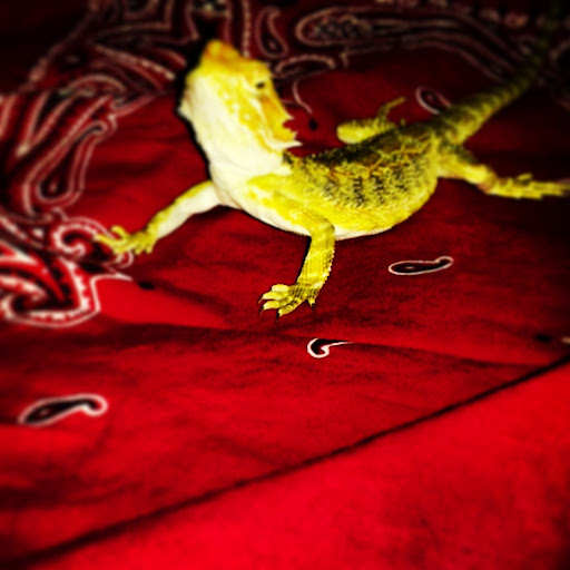 Bait Shop «The Bait Barn», reviews and photos, 3241 N Arlington Ave, Indianapolis, IN 46218, USA