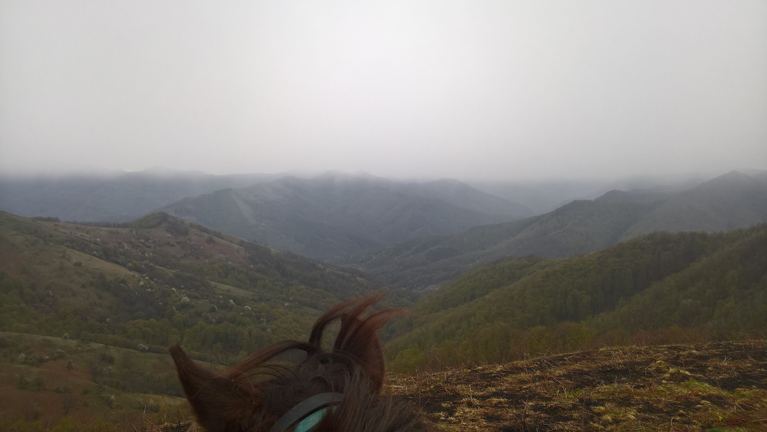Photo n° 1 de l'avis de Maksym.g fait le 25/04/2022 à 10:22