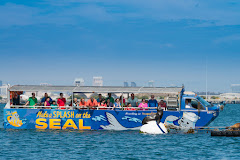 San Diego Seal Tour