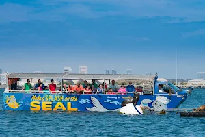 San Diego Seal Tour image