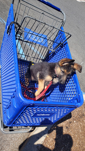 Pet Supply Store «PetSmart», reviews and photos, 300 NJ-18, East Brunswick, NJ 08816, USA