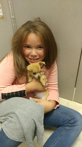 Pet Store «Petland», reviews and photos, 920 Hebron Rd, Heath, OH 43056, USA