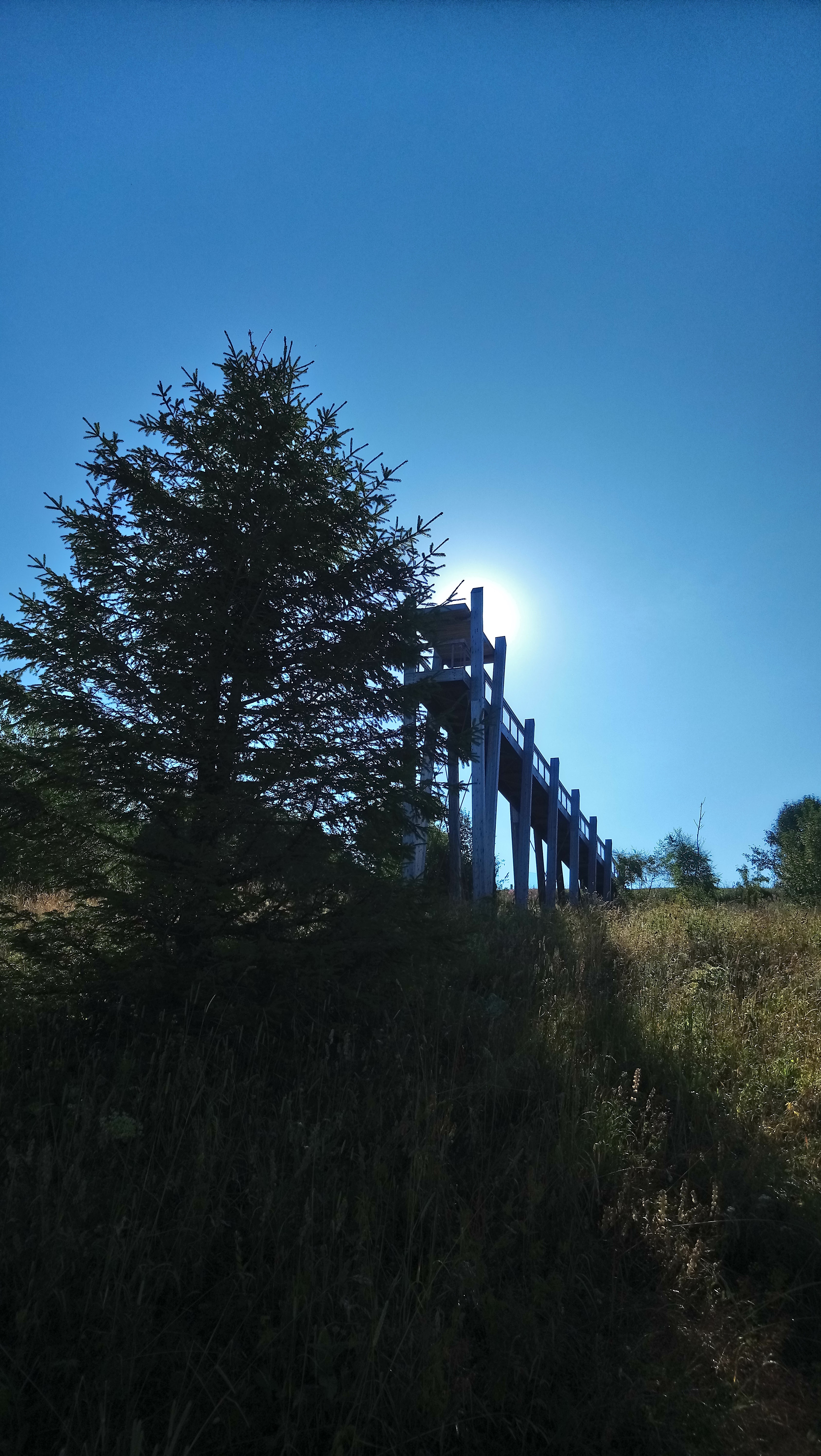 Photo n° 6 de l'avis de Némésis. fait le 05/08/2018 à 14:29