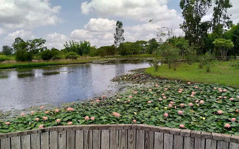 JKUAT SAJOREC Botanical Garden image